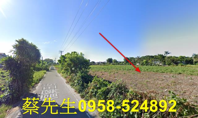 花蓮吉安農地法拍-4