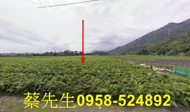 花蓮吉安農地法拍-9