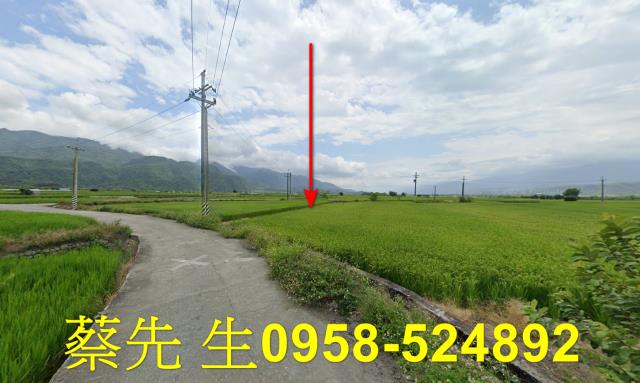 花蓮玉里拍賣農地-13
