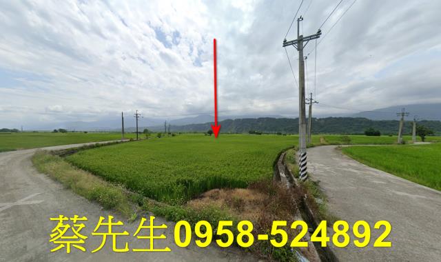 花蓮玉里拍賣農地-1
