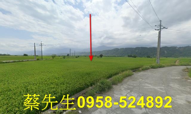花蓮玉里拍賣農地-4
