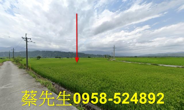花蓮玉里拍賣農地-6