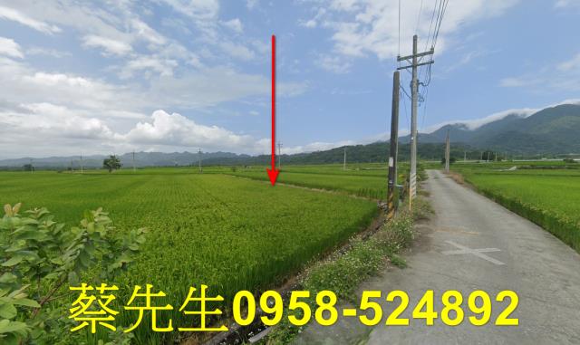 花蓮玉里拍賣農地-7