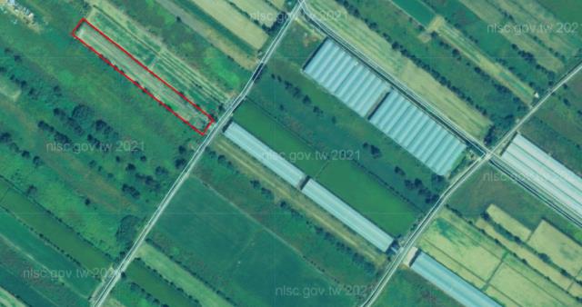 苗栗後龍拍賣農地-11