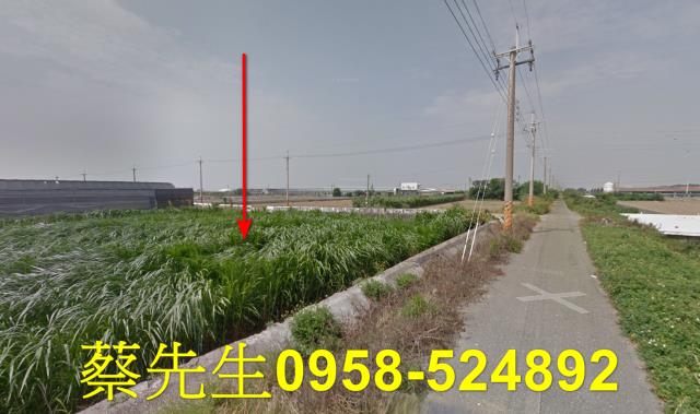 大城農地拍賣-12