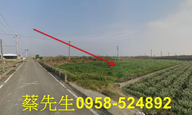 大城農地拍賣-15