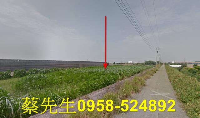 大城農地拍賣-5