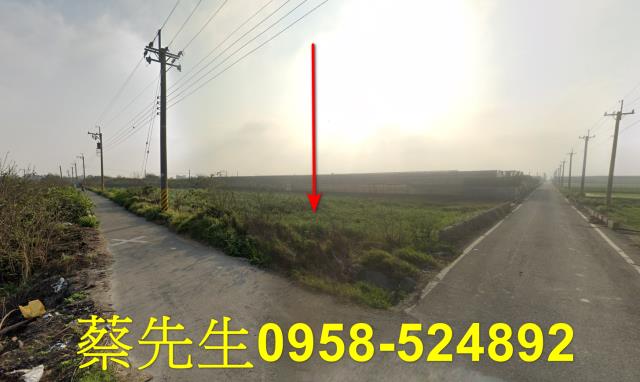 大城農地拍賣-9