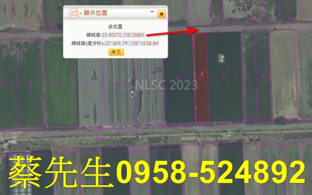 嘉義農地法拍-11
