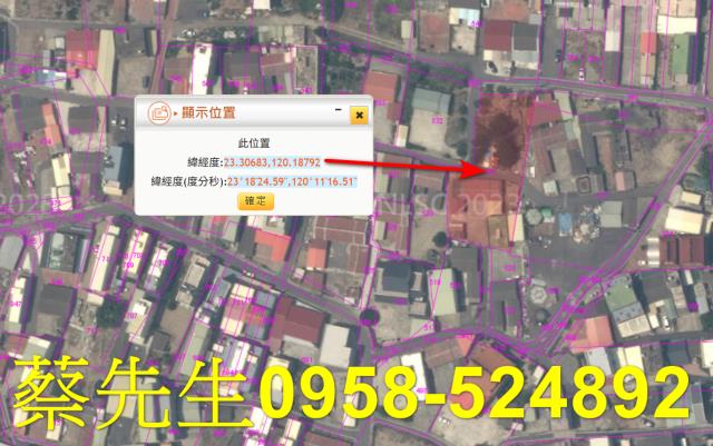 嘉義義竹建地拍賣-11