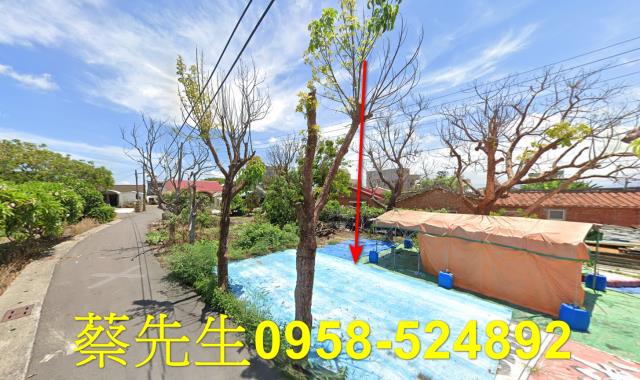 嘉義義竹建地拍賣-12