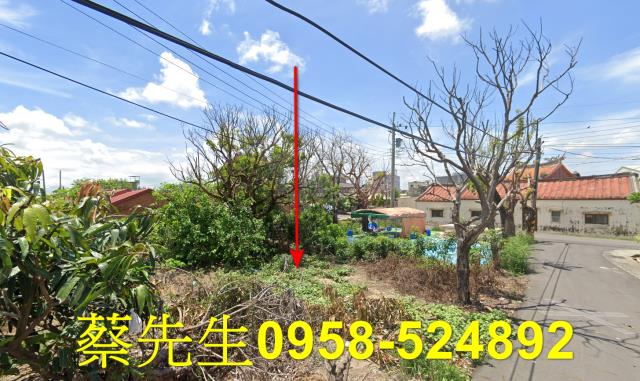 嘉義義竹建地拍賣-5