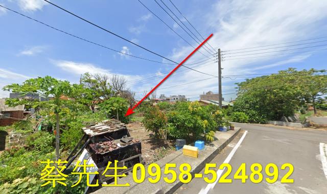 嘉義義竹建地拍賣-7