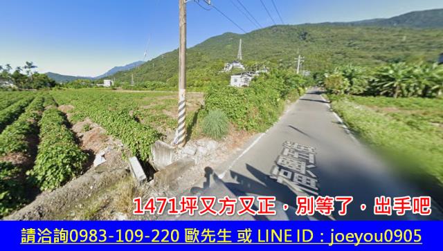吉安法拍農地-10