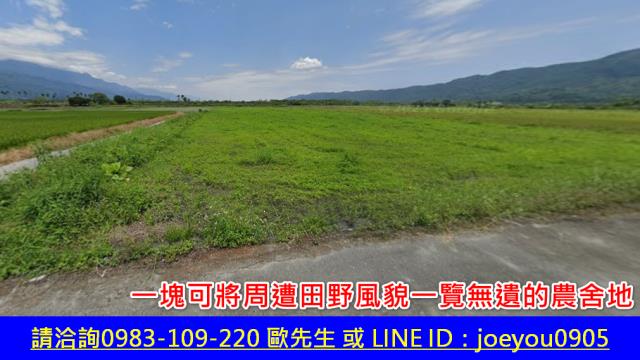 鳳林農地法拍-10