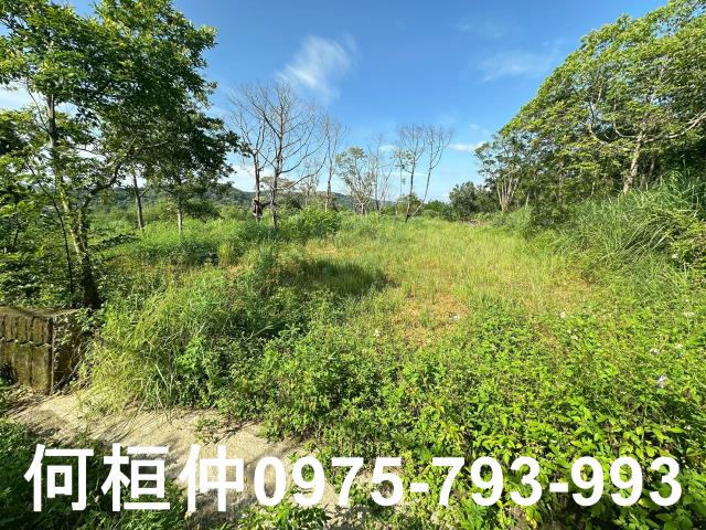 新竹新埔農地-1