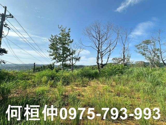 新竹新埔農地-2