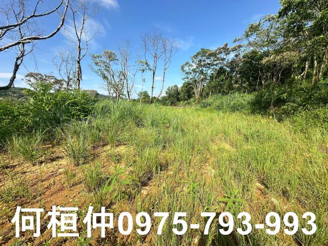 新竹新埔農地-3