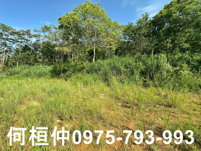 新竹新埔農地-4