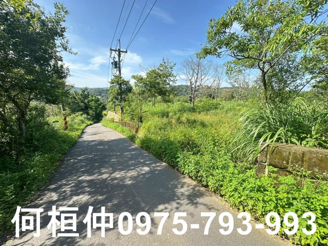 新竹新埔農地-5