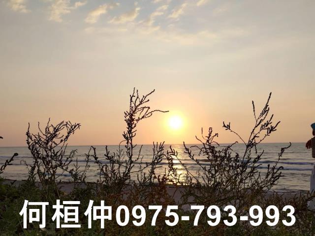 苗栗苑裡農地-1