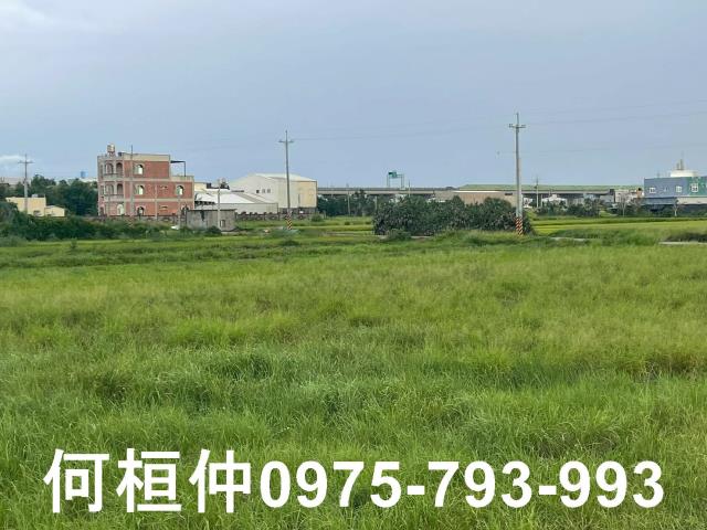 苗栗苑裡農地-2