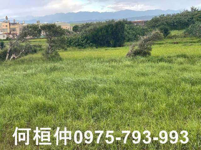 苗栗苑裡農地-3