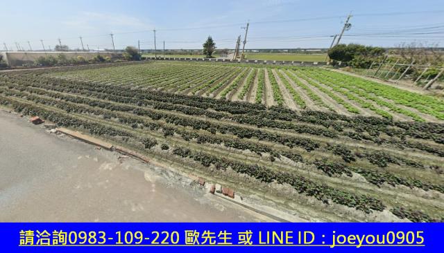 彰化大城法拍農地-11