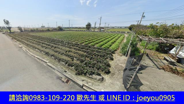 彰化大城法拍農地-4