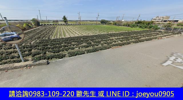 彰化大城法拍農地-6
