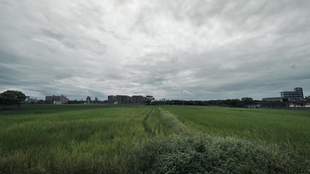 桃園中壢農地-2