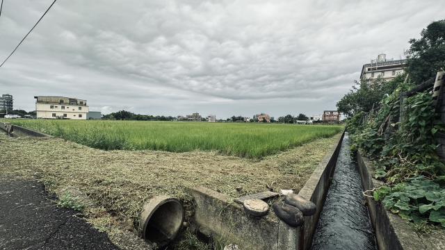 桃園中壢農地-6