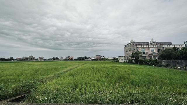 桃園中壢農地-8