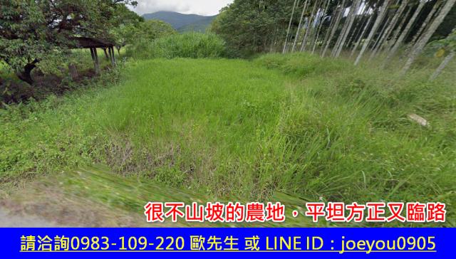 瑞穗法拍山坡地-10