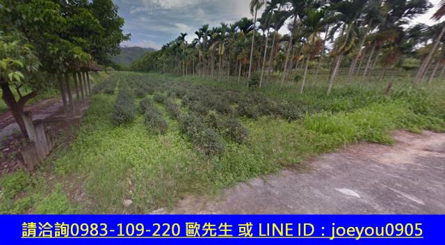 瑞穗法拍山坡地-4