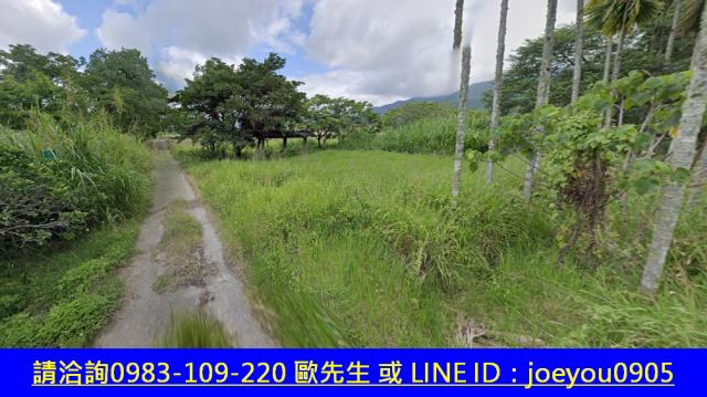 瑞穗法拍山坡地-5