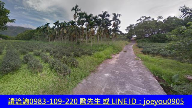 瑞穗法拍山坡地-6