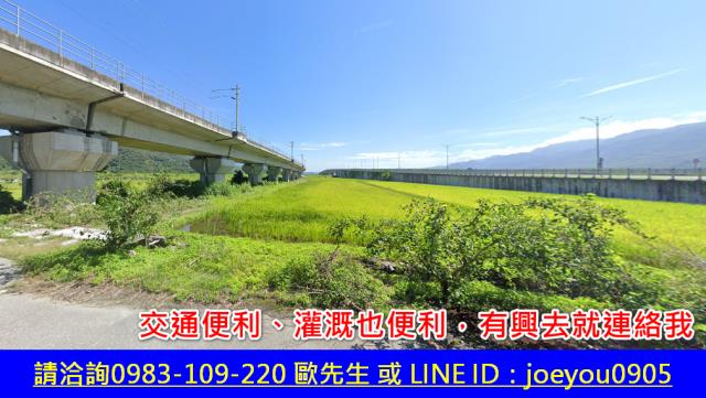 玉里農地法拍-10
