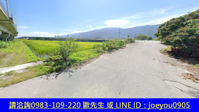 玉里農地法拍-12