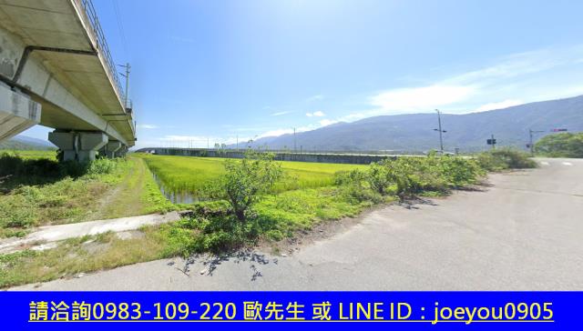 玉里農地法拍-4