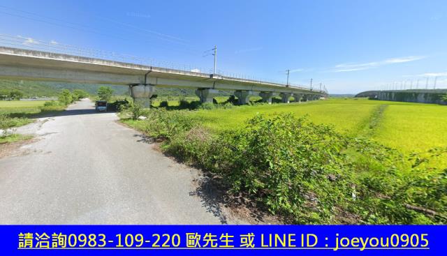 玉里農地法拍-5