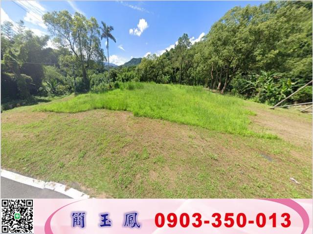 桃園大溪工業地-1