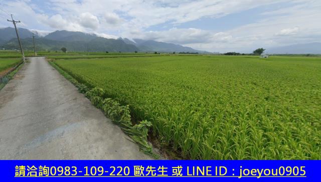 花蓮玉里農地法拍-12