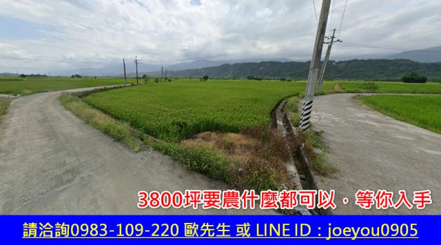 花蓮玉里拍賣農地-10