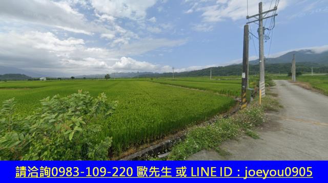 花蓮玉里拍賣農地-5