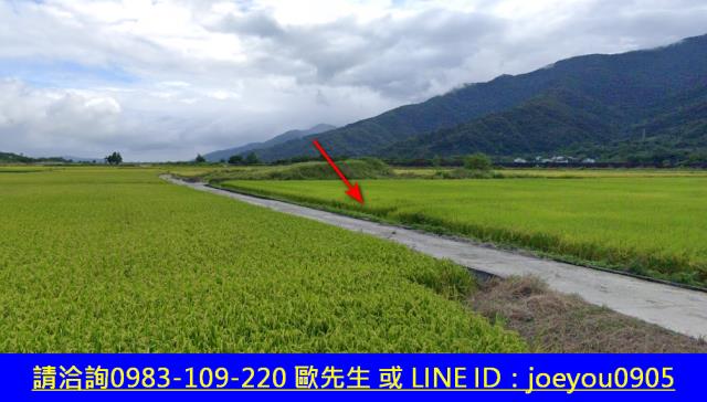 花蓮富里法拍農地-11