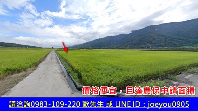 花蓮富里法拍農地-3