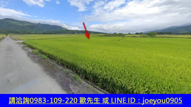 花蓮富里法拍農地-6