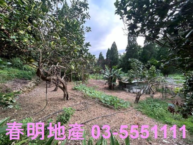 新竹新埔農地-11