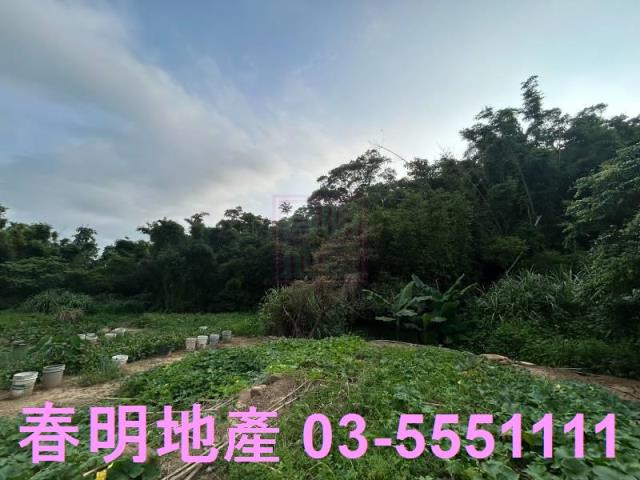 新竹新埔農地-2